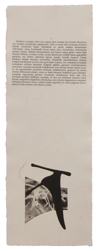 Illustrated Book Baroja-Collet - Neguko kronika hegoaldeko ordeketan