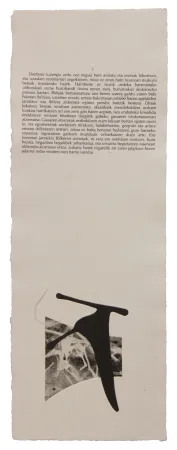 Illustrated Book Baroja-Collet - Neguko kronika hegoaldeko ordeketan