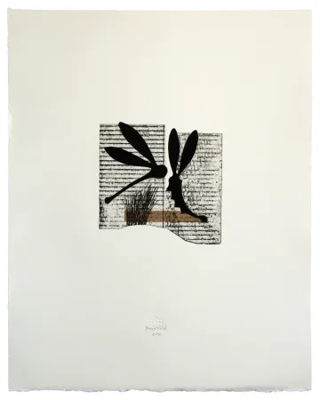 Etching And Aquatint Baroja-Collet - Seducción