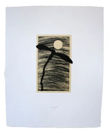 Etching And Aquatint Baroja-Collet - Volador