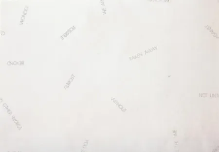 Lithograph Barry - Sans titre