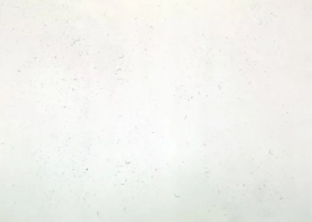 Etching Bartolini - Dust Chaser 1