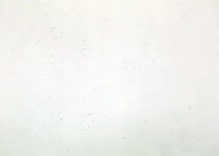 Etching Bartolini - Dust Chaser 1