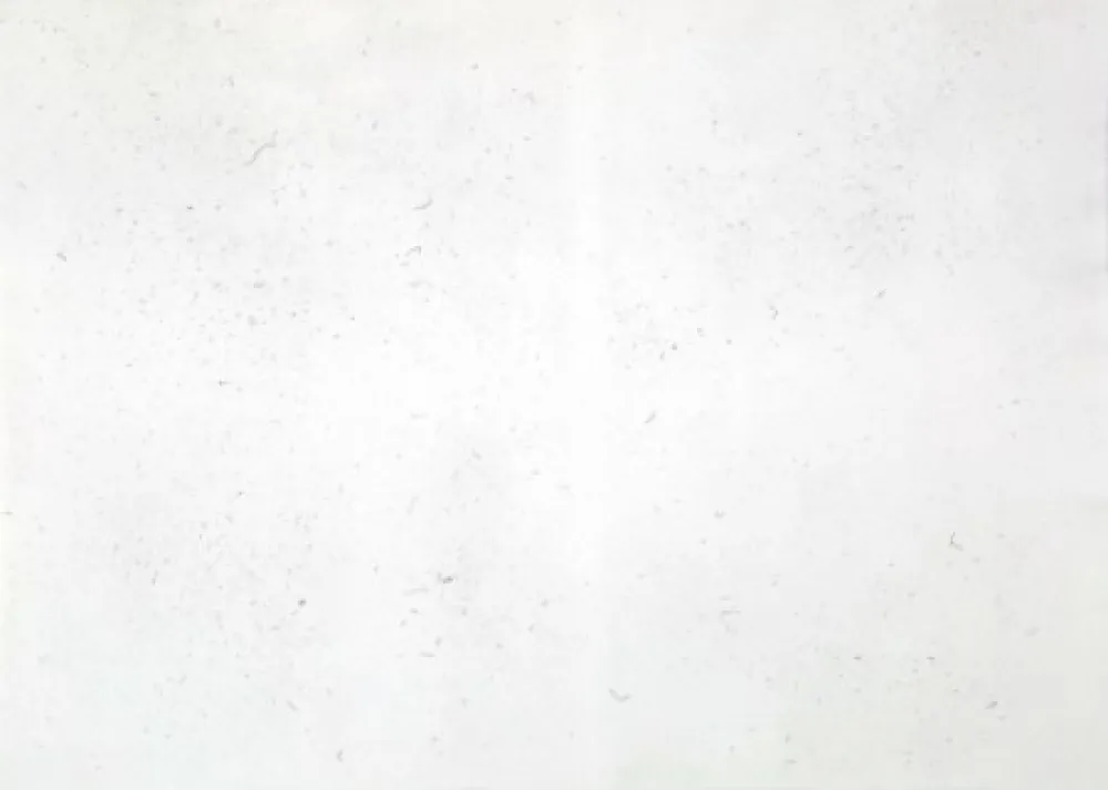 Etching Bartolini - Dust Chaser 2