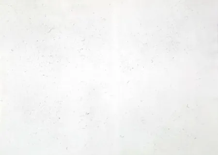 Etching Bartolini - Dust Chaser 2