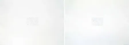 Etching Bartolini - Dust Chaser