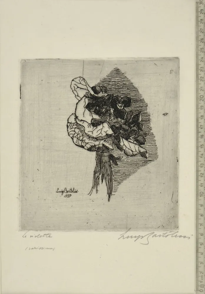 Engraving Bartolini - LE VIOLETTE