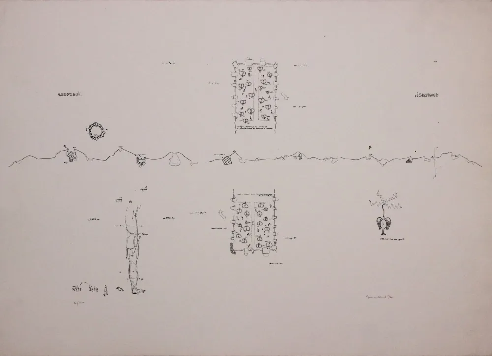 Lithograph Baruchello - Campioni