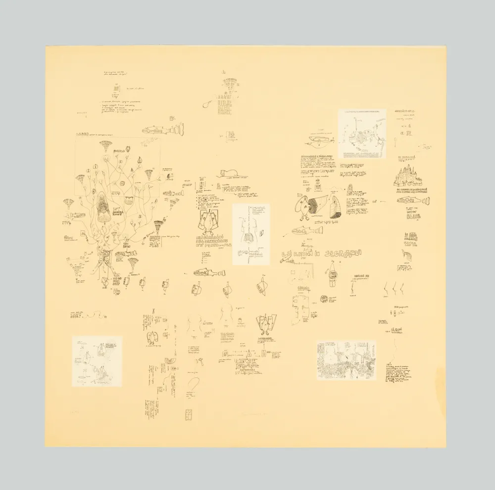 Screenprint Baruchello - Senza titolo