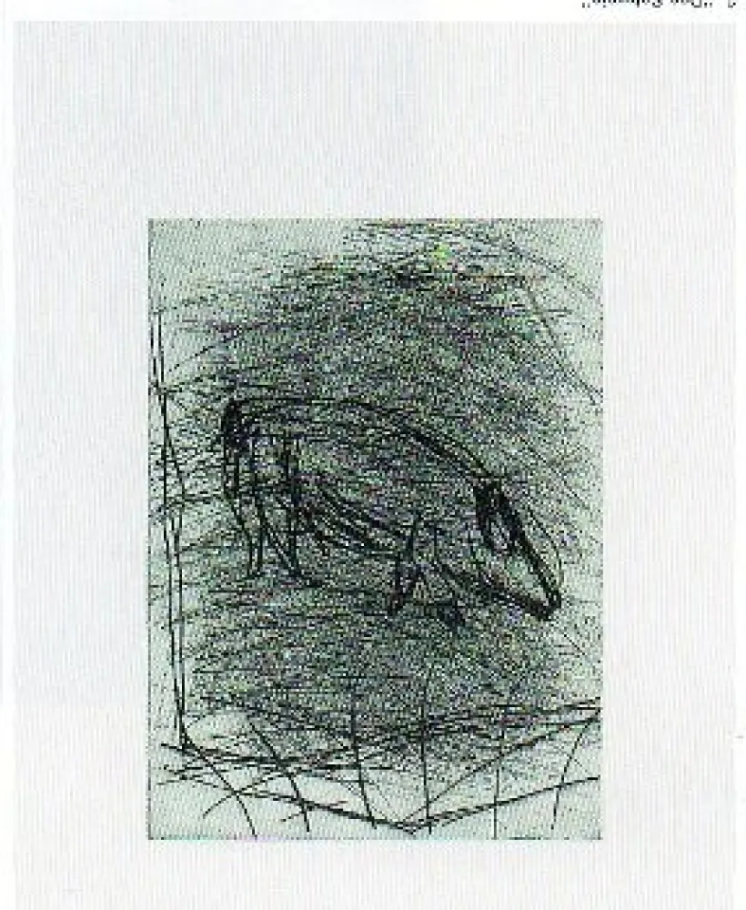 Drypoint Baselitz - Das Schwein 