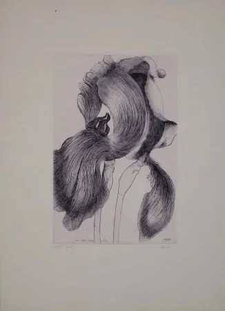 Etching And Aquatint Baskin - An Iris for Lisa
