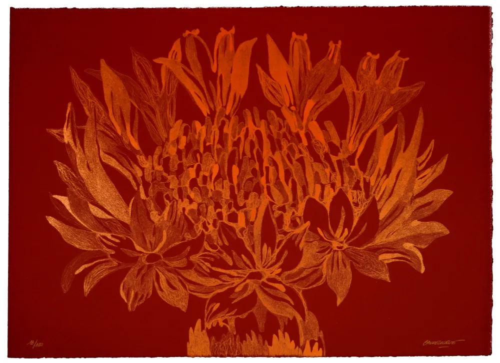 Lithograph Baudelocque - Lys