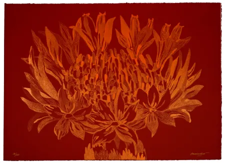 Lithograph Baudelocque - Lys