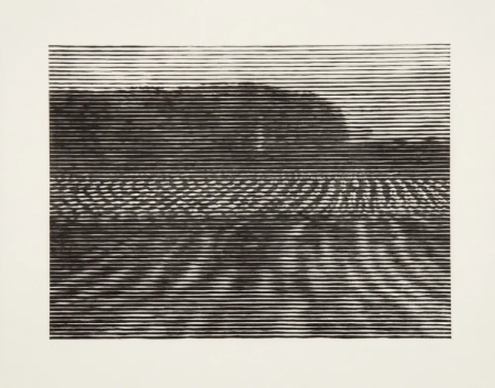 Woodcut Baumgartner - Gelände