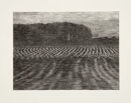 Woodcut Baumgartner - Gelände