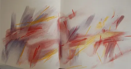 Illustrated Book Bazaine - Bazaine