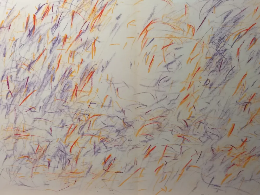 Illustrated Book Bazaine - DLM 170