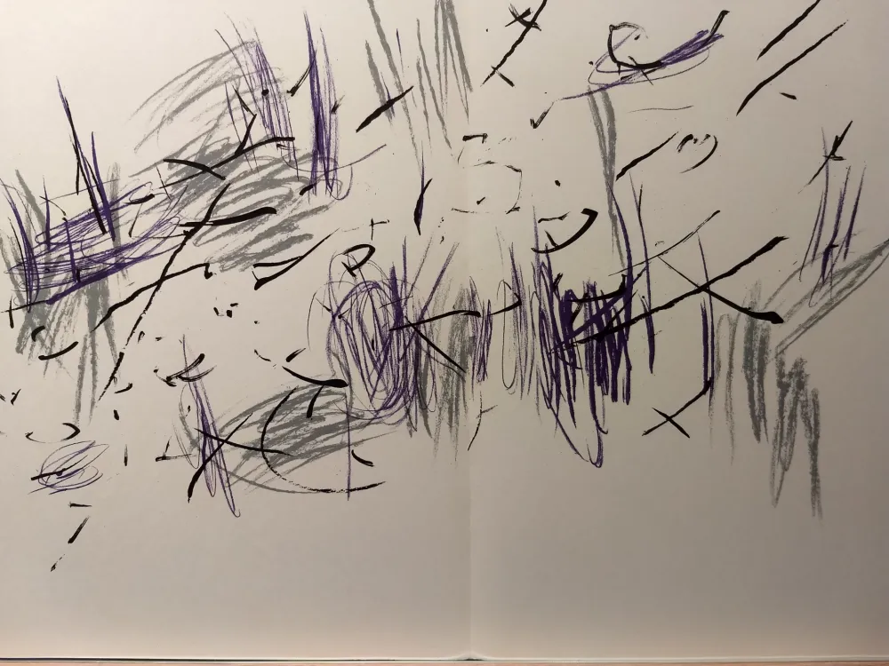 Illustrated Book Bazaine - DLM 197