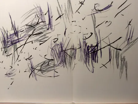 Illustrated Book Bazaine - DLM 197