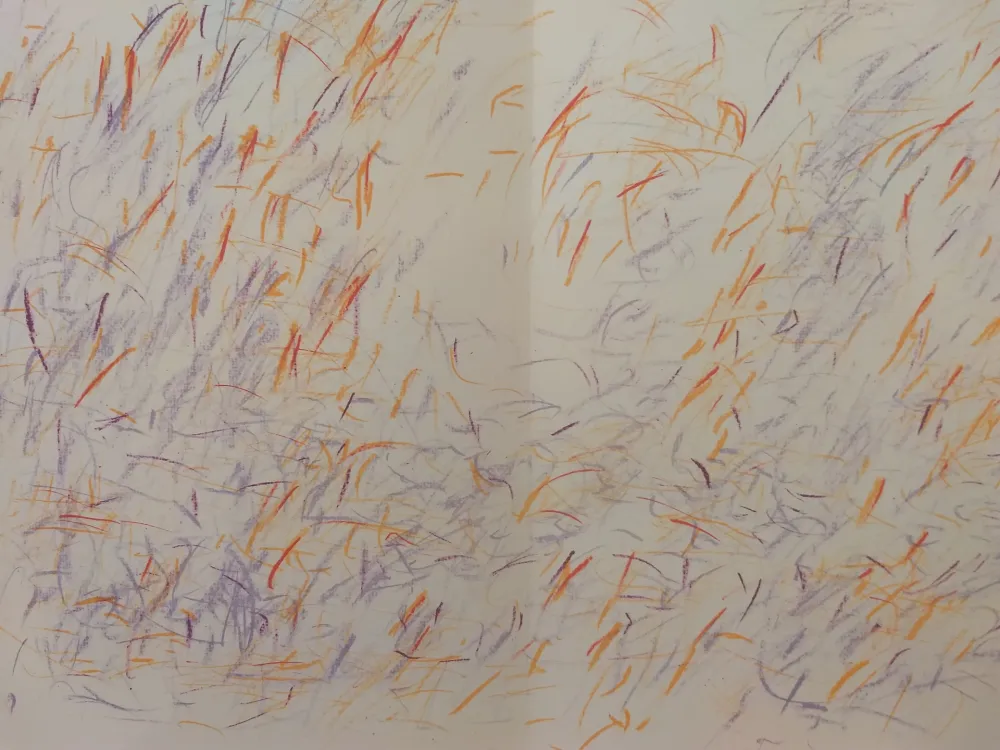 Illustrated Book Bazaine - Edition Tete DLM 170