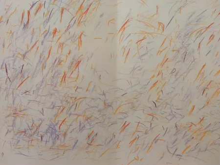 Illustrated Book Bazaine - Edition Tete DLM 170