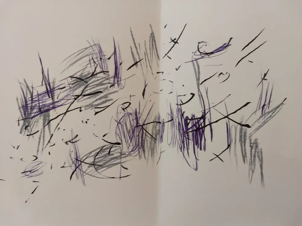 Illustrated Book Bazaine - Edition Tete DLM 197