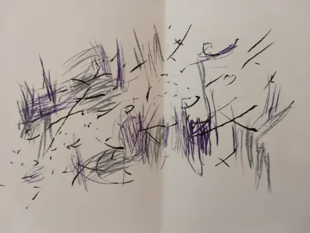 Illustrated Book Bazaine - Edition Tete DLM 197