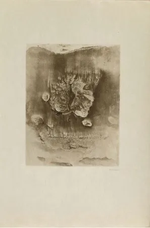 Etching Bellmer -  Entre deux eaux