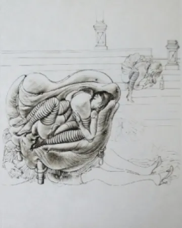 Etching And Aquatint Bellmer - Initiation à la sexualité