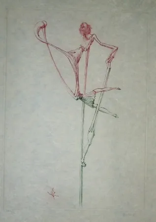 Etching And Aquatint Bellmer - Oeillades ciselées 7