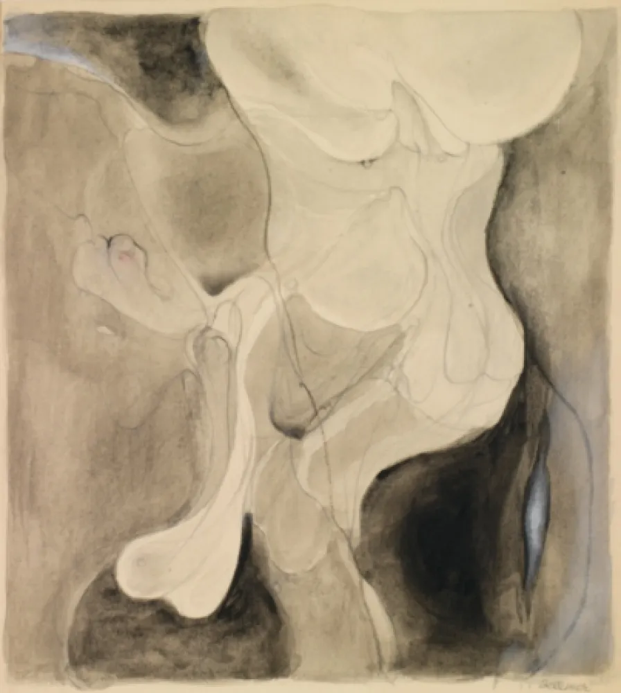 No Technical Bellmer - Sans titre