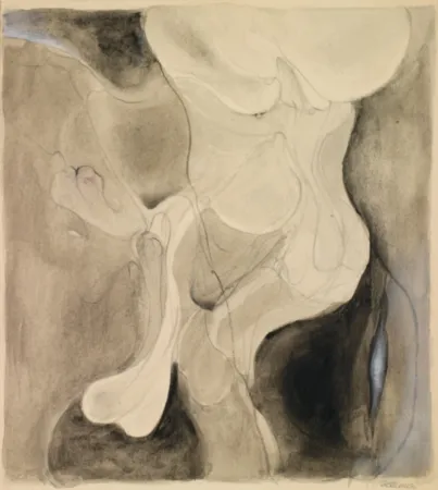 No Technical Bellmer - Sans titre