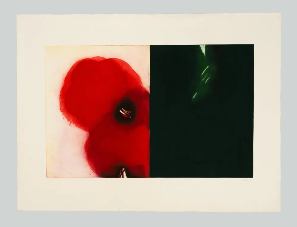 Etching And Aquatint Benati - Affiora