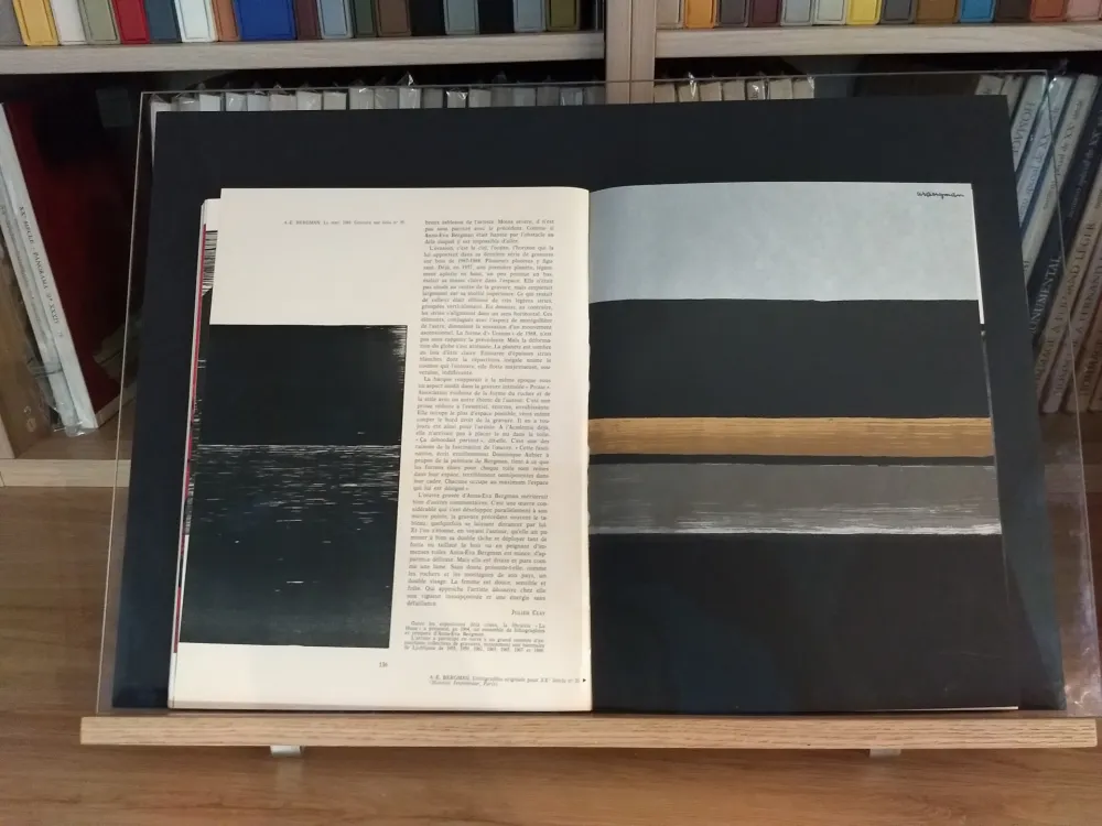 Illustrated Book Bergman - No 35