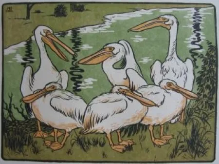 Woodcut Berthold - Pelikane