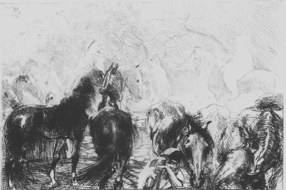 Engraving Besnard - Marché aux chevaux a Mainson Carré - Algérie