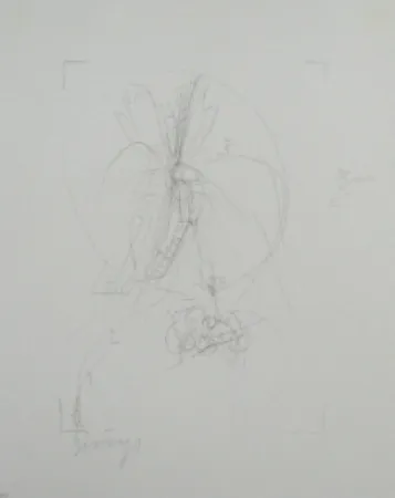 Lithograph Beuys - Codices Madrid 10