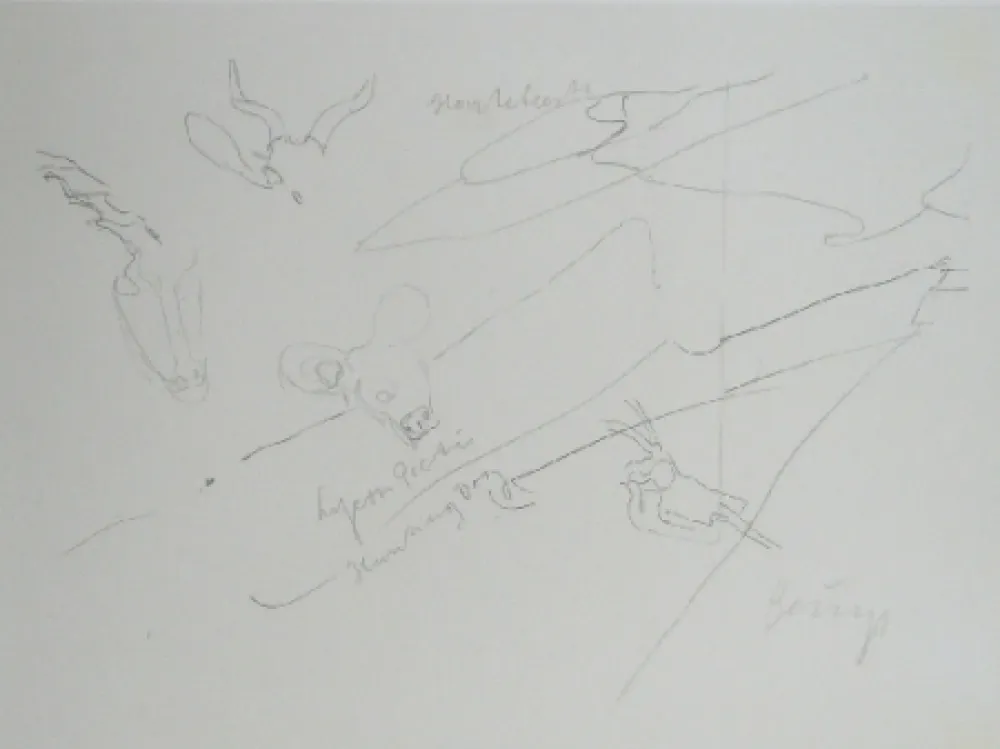 Lithograph Beuys - Codices Madrid 9