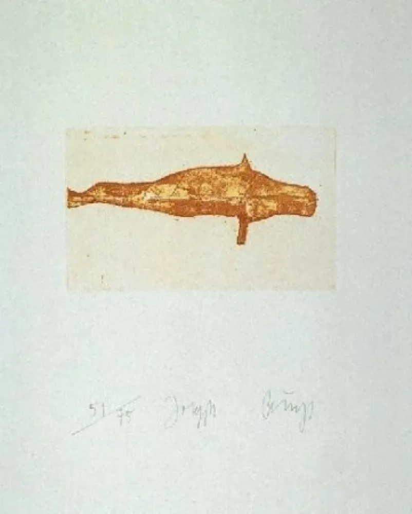 Etching And Aquatint Beuys - Meerengel Robbe I