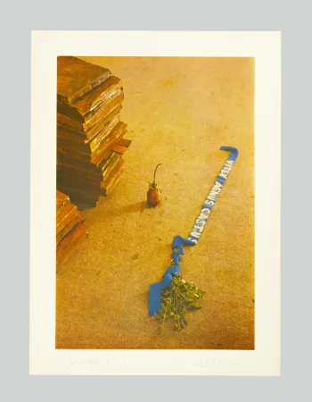 Lithograph Beuys - Vitex agnus castus
