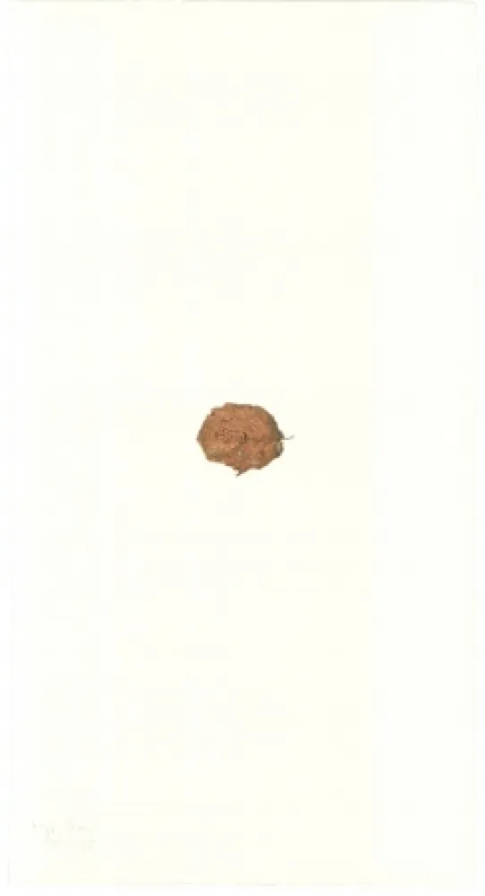 Lithograph Beuys - Zirkulationszeit: Bär  Museumsausgabe