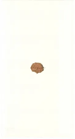 Lithograph Beuys - Zirkulationszeit: Bär  Museumsausgabe