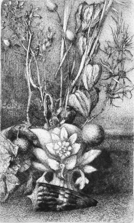 Engraving Bianchi Barriviera - Natura morta