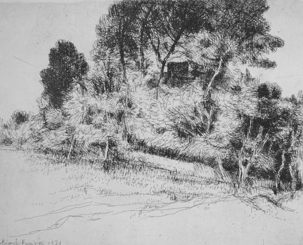 Engraving Bianchi Barriviera - Paesaggio alla via Nomentana