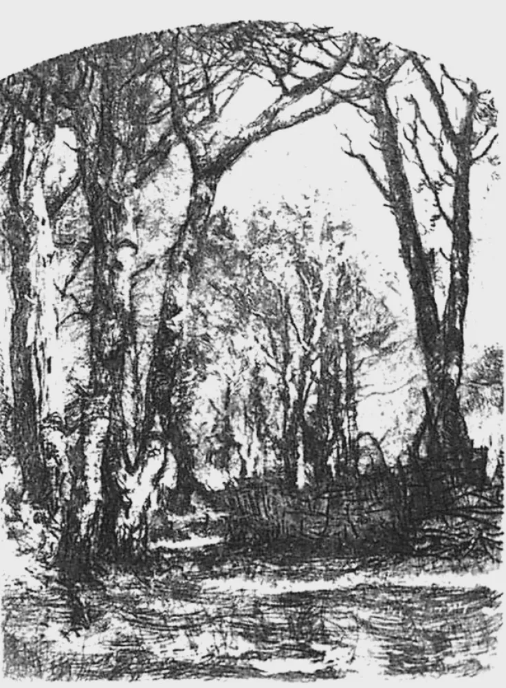 Engraving Bianchi - Il bosco