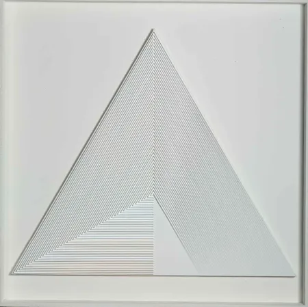 No Technical Biasi - POLITIPO TRIANGOLARE