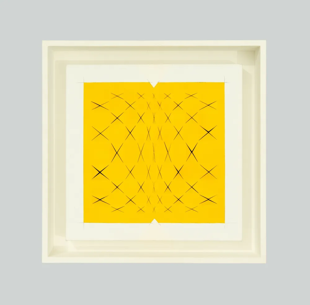 No Technical Biasi - Spazio papale