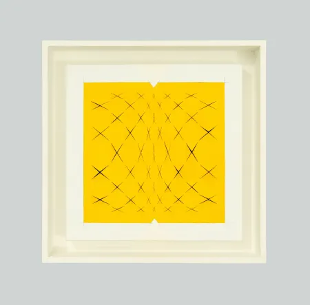 No Technical Biasi - Spazio papale