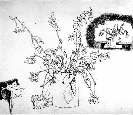 Engraving Biasion - Fiori secchi e conchiglia