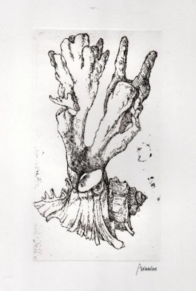 Illustrated Book Biasion - Venezia lontana